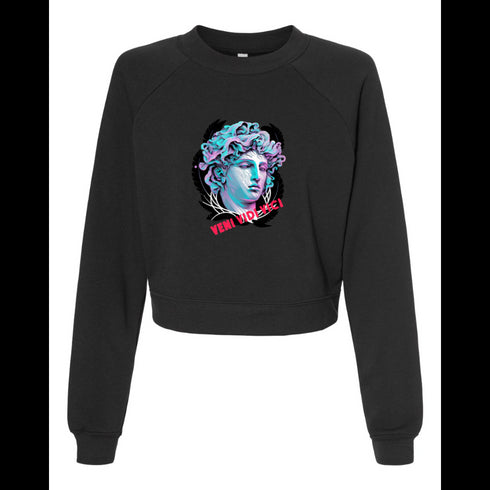VENI VIDI VICI Bella canvas hoodie 7505